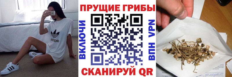Галлюциногенные грибы ЛСД  где купить   Красноуральск 